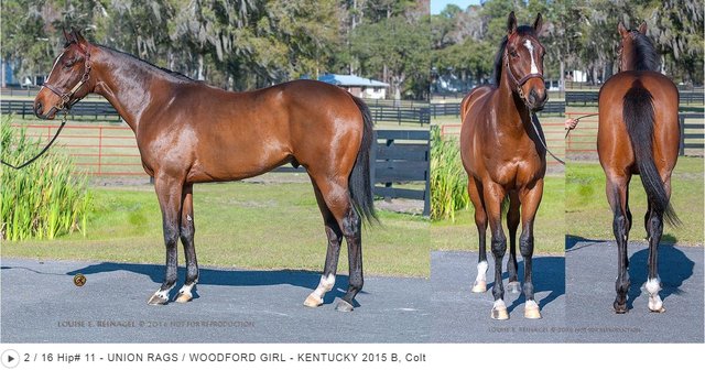 2/23/2017 Woodford Girl '15