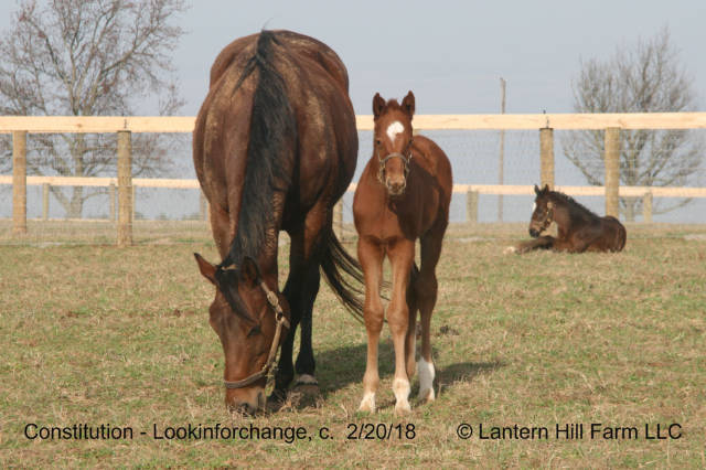 2/20/2018 Lookinforchange 18