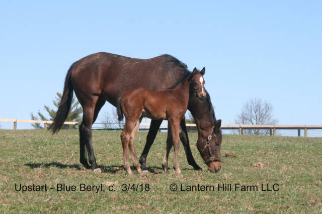 3/5/2018 Blue Beryl 18