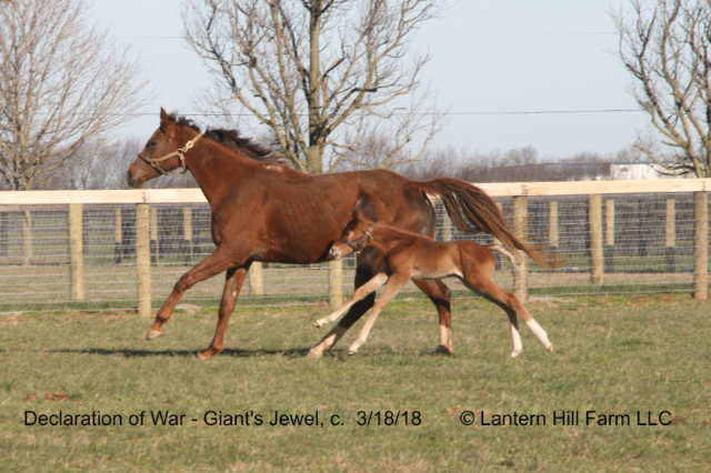 3/19/2018 Giant's Jewel 18