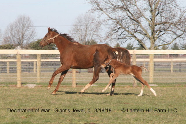 3/19/2018 Giant's Jewel 18