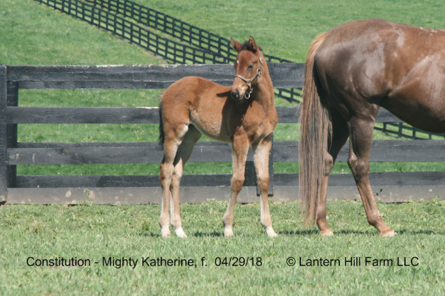 5/1/2018 Mighty Katherine 18