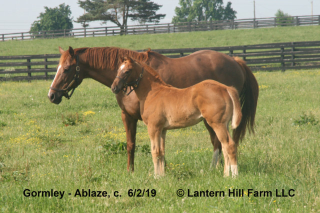 6/2/2019 Ablaze 19
