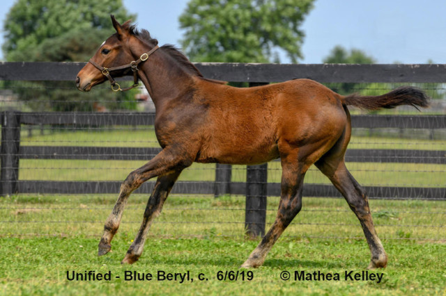 6/7/2019 Blue Beryl 19