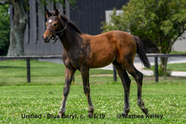 6/7/2019 Blue Beryl 19