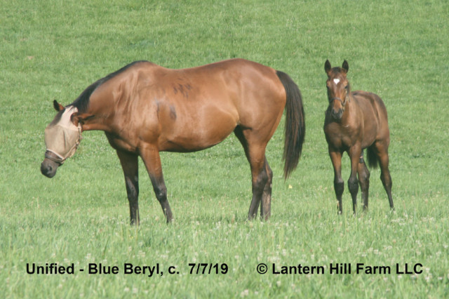 7/8/2019 Blue Beryl 19