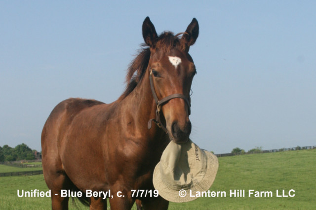 7/8/2019 Blue Beryl 19