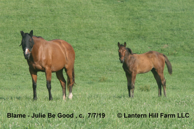 7/8/2019 Julie Be Good 19