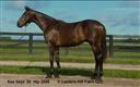 08/29/2020 Mighty Katherine '19