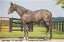 08/31/2023 Dyna Star '22