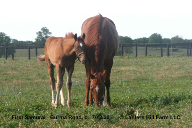 7/13/2020 Burma Road 20