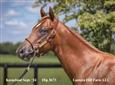08/29/2024 French Curline '23
