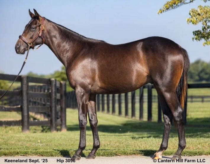 8/22/2025 Woodford Girl '24