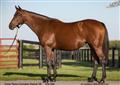 09/30/2025 Mayfair Lady